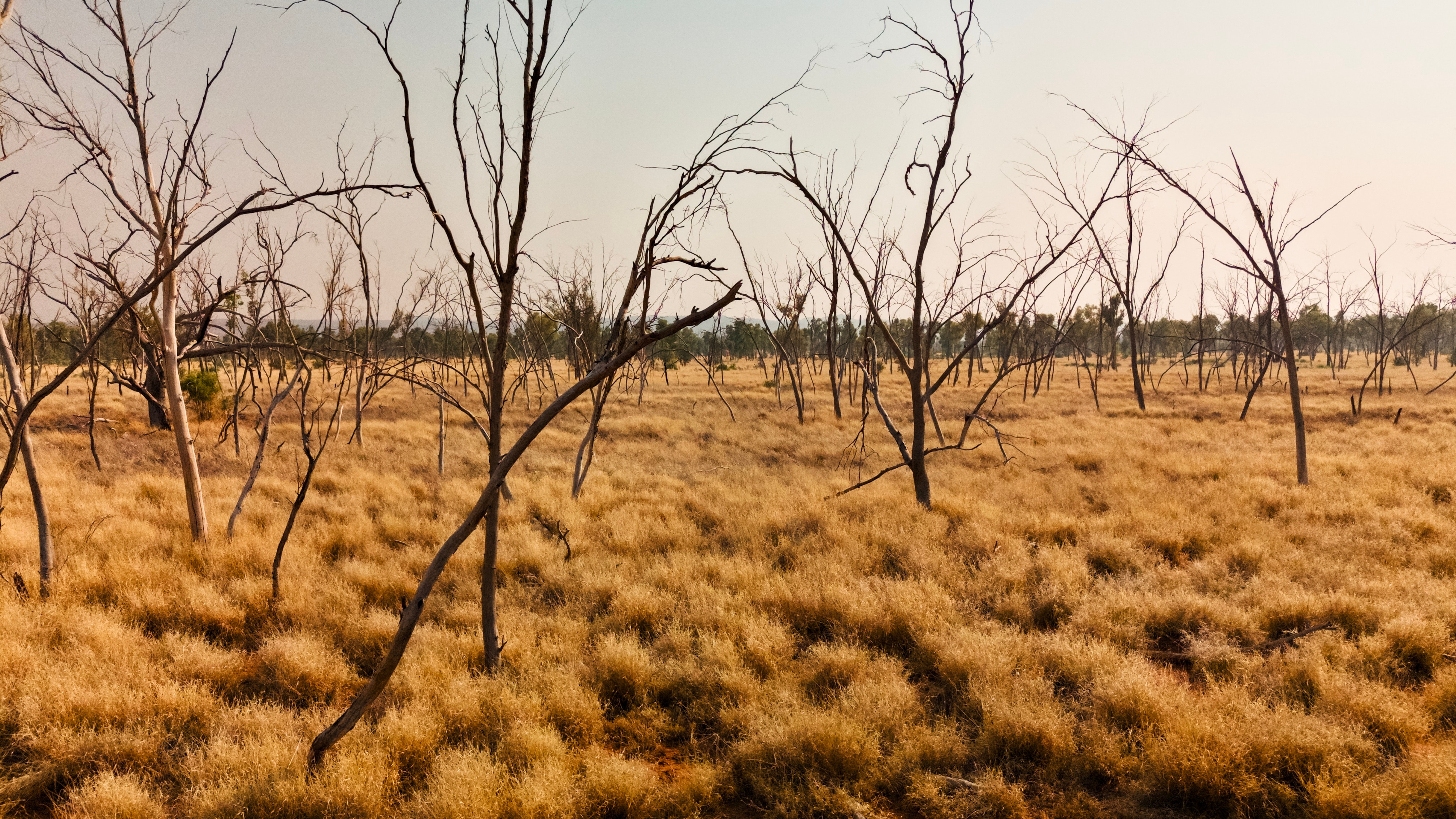 39f9fa721c88f020ceb6d1450285d1c2?impolicy=wcms_crop_resize&cropH=2268&cropW=3402&xPos=315&yPos=0&width=862&height=575