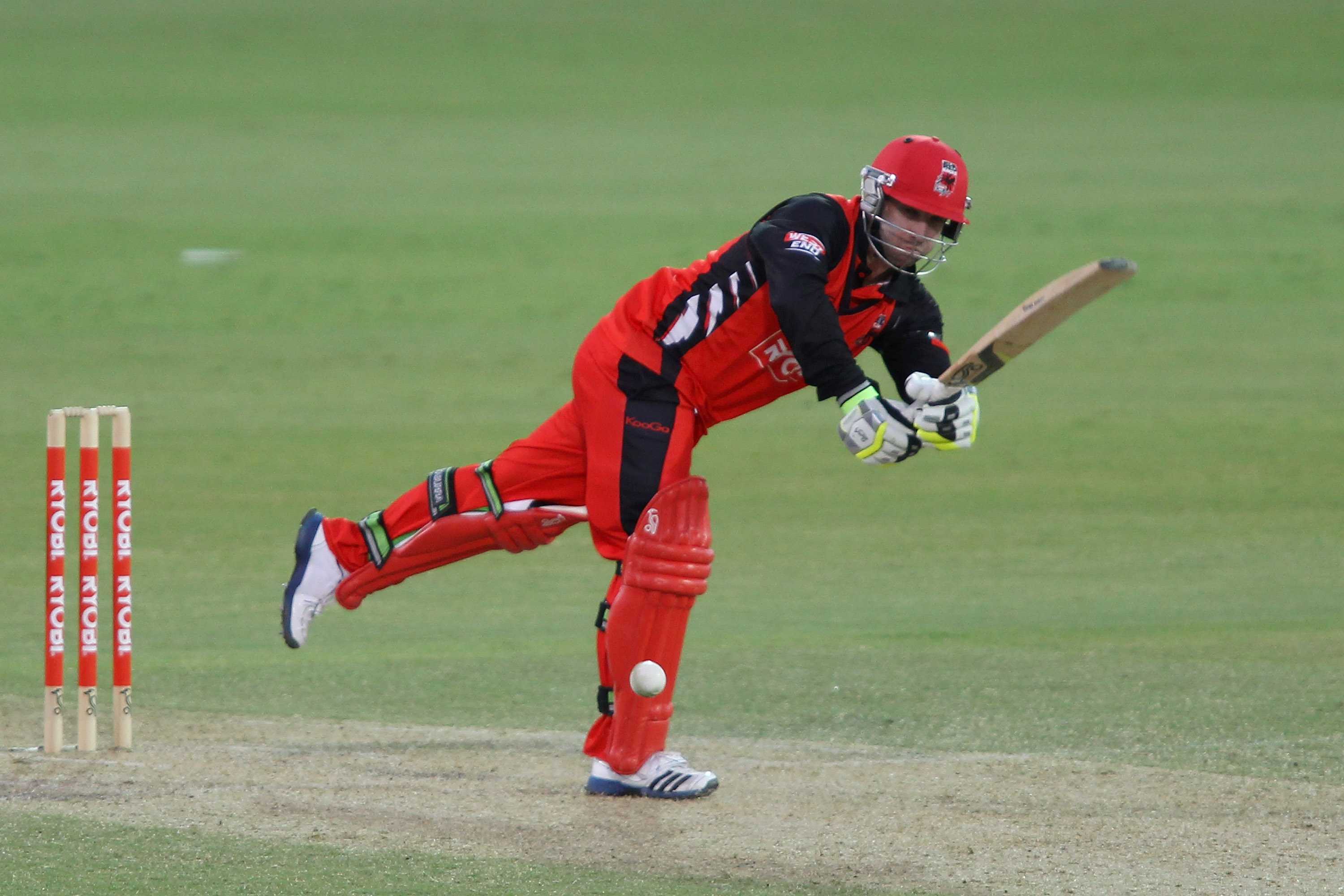 Redbacks towel up Tigers - ABC News