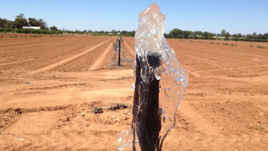 Flowing irrigation water