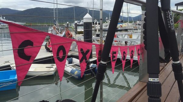 Pink flag bunting hangs on a railing in a harbour