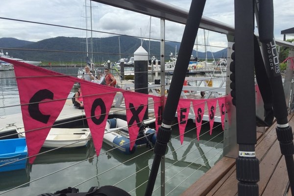 Pink flag bunting hangs on a railing in a harbour