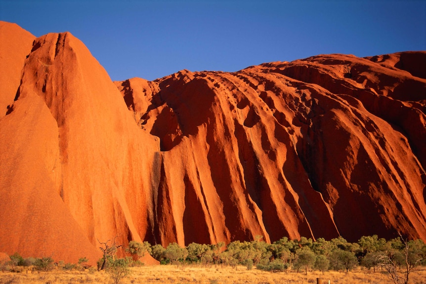 This close up of Uluru shows red rock with vertical layers.