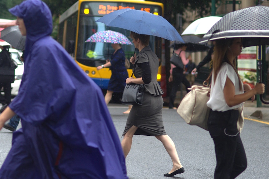 People cross the road in rain in Brisbane on January 25, 2012.
