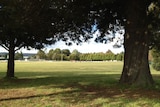 Cunynghame St oval in Oberon, where a three-year-old boy was allegedly injured by his family's dogs, on Monday 4 August 2014.
