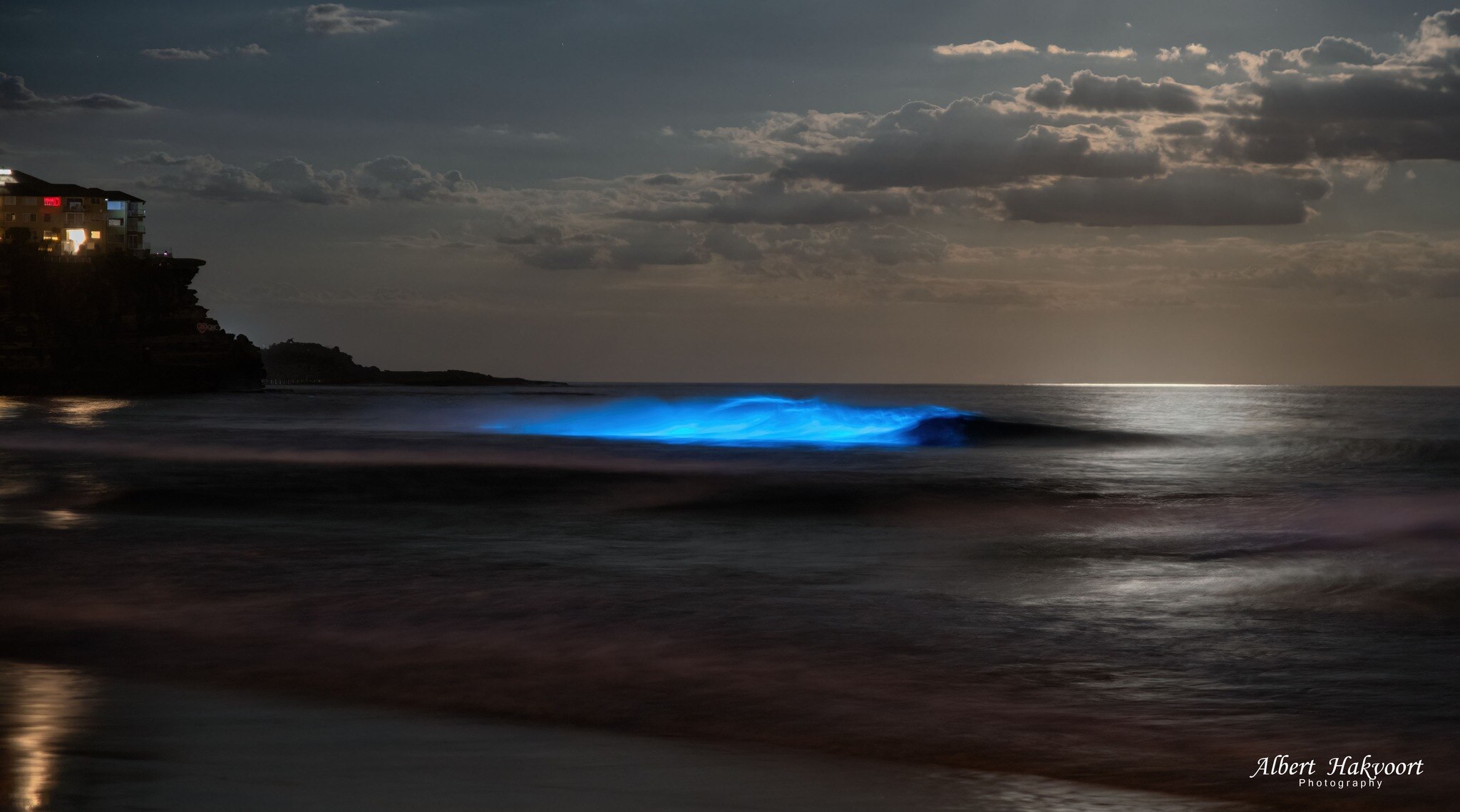 A bioluminescent wave rolls in at Manly.