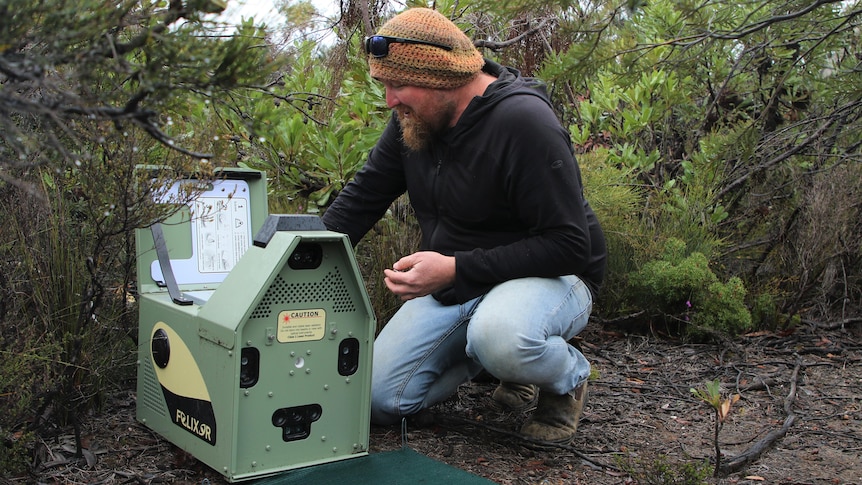 A bearded man in a beanie and hoodie kneels next to a high-tech-looking pale, green box on the ground in bushland