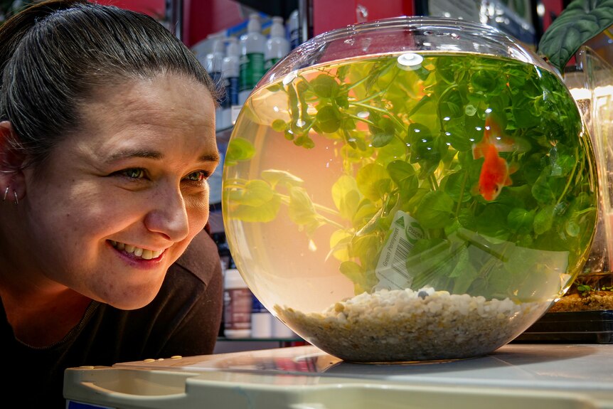 Tegan looks and smiles at her Goldfish bowl