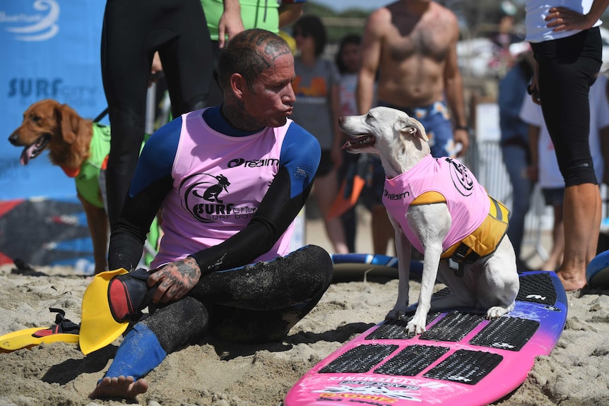 Surf dog Sugar and owner Ryan Ruston