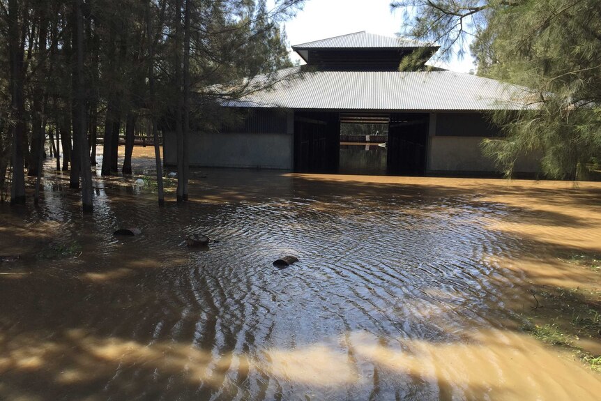 Jasmin Battye's flooded horse stables.