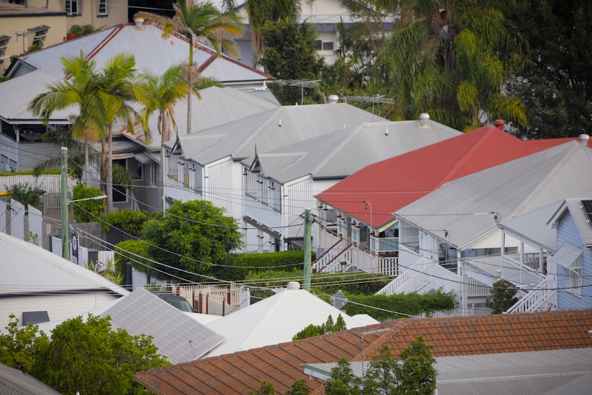 Los tejados de las casas del suburbio interior de Brisbane