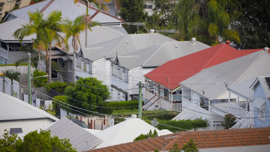 Rows of Queenslander-style houses, seen from a high vantage point.
