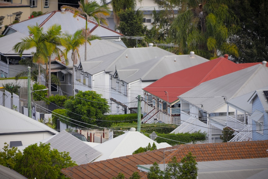 Rows of Queenslander-style houses, seen from a high vantage point.