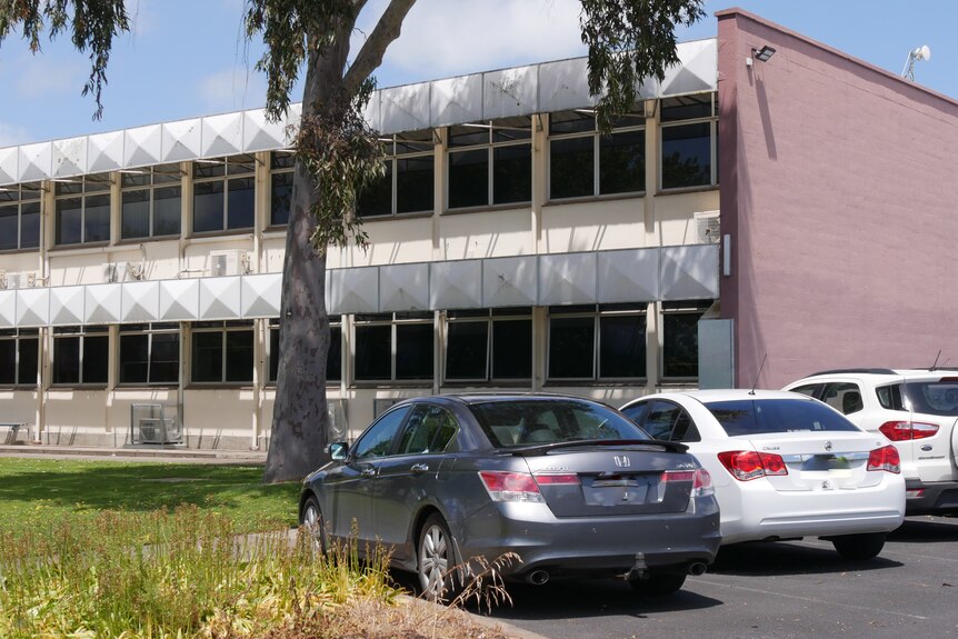 A long building with windows stretching along, a tree, cars parked out the front