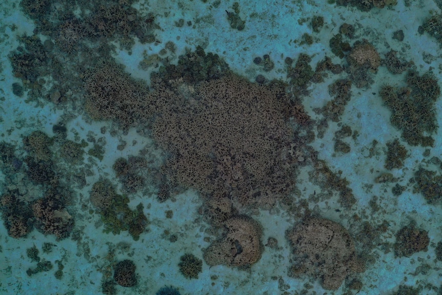 An overhead shot of Turquoise Bay.