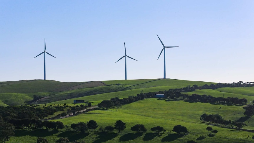 A view of Starfish Hill Wind Farm in South Australia.