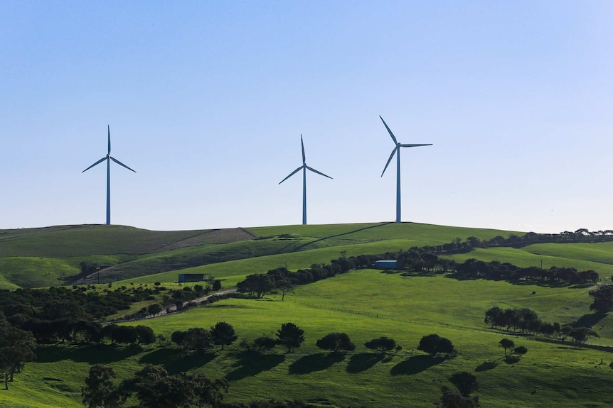 A view of Starfish Hill Wind Farm in South Australia.