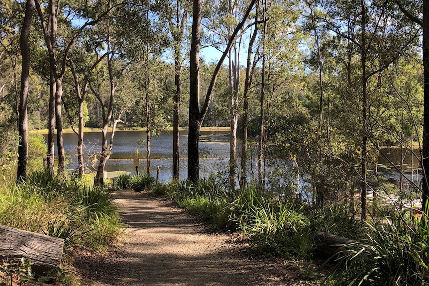 A gravel trail is seen leading to a dam, surrounded by native trees on a sunny day.