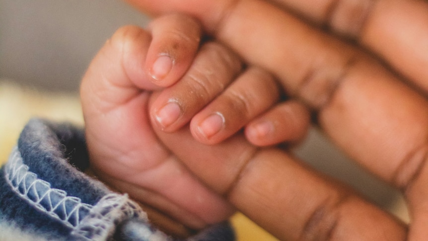 An adult hand holds a baby's hand 