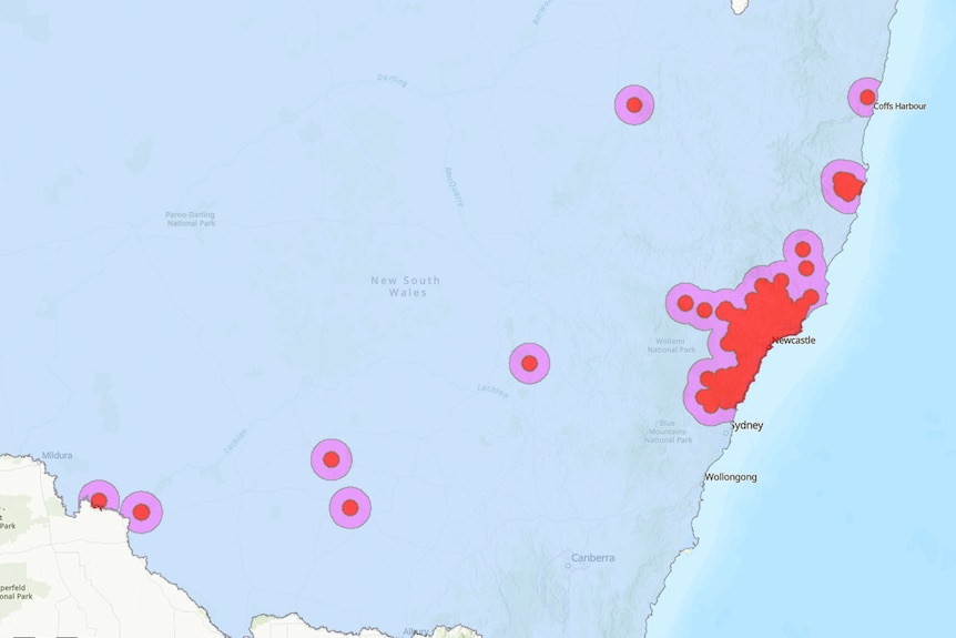 A varroa mite map in NSW showing red and purple infestation zones.