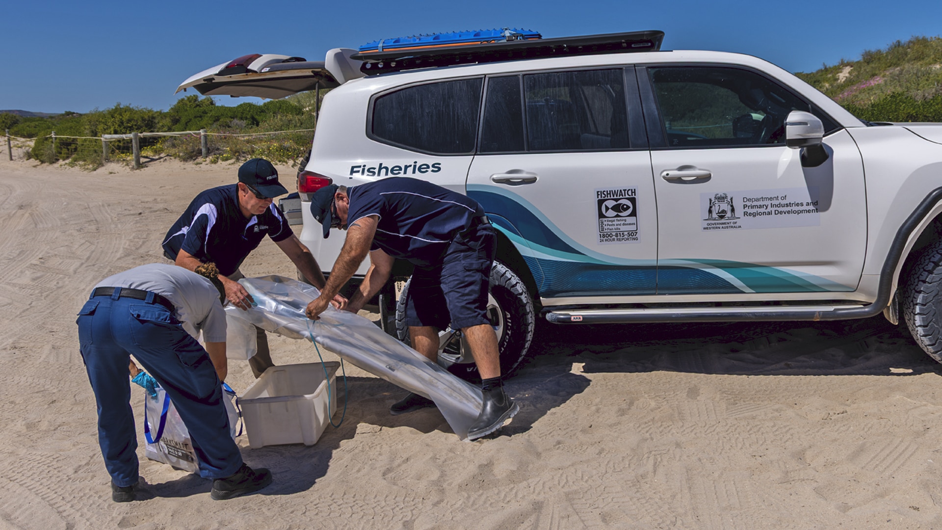 Men in fisheries shirts put a surfboard in a plastic bag