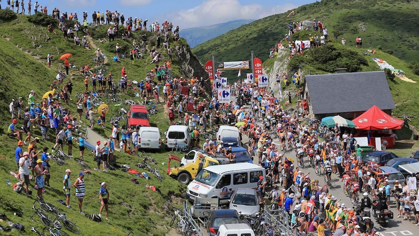 Tour de France cyclists pass through the French countryside