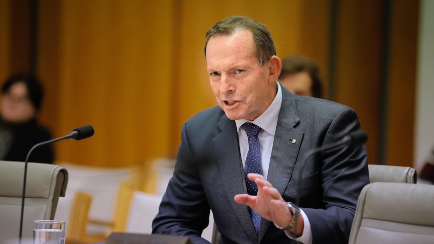 Abbott gestures whilst talking wearing a black suit and dark blue tie on a committee bench inside parliament.