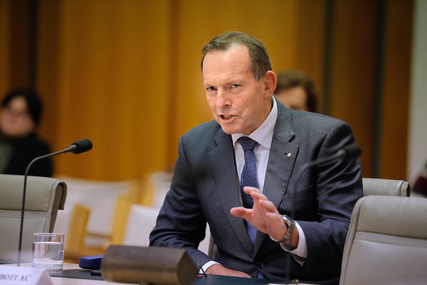 Abbott gestures whilst talking wearing a black suit and dark blue tie on a committee bench inside parliament.