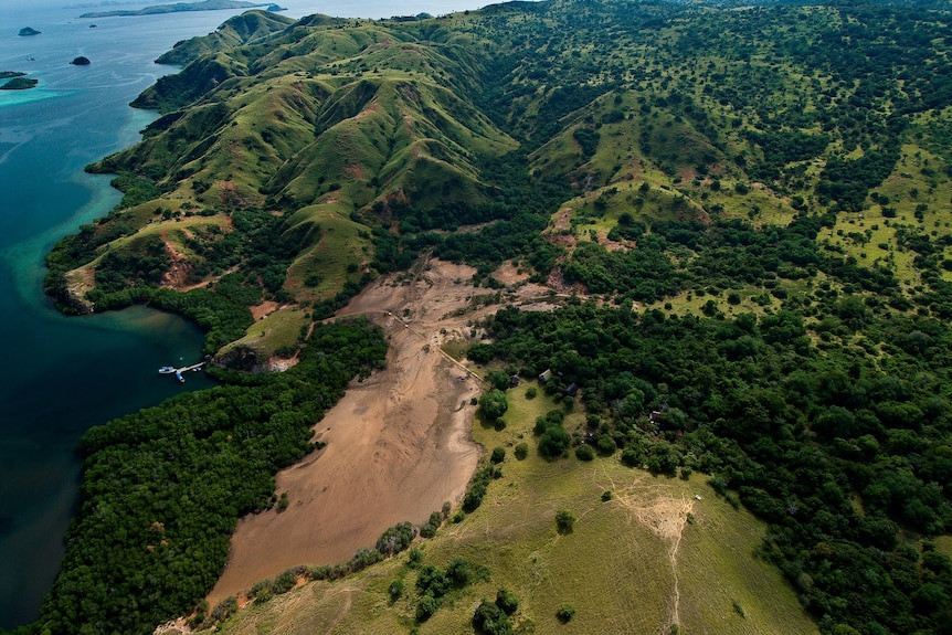 Image aérienne de la terre verte sur une île.
