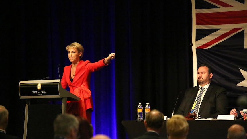Michaelia Cash standing in stage at the party's state conference in Perth.