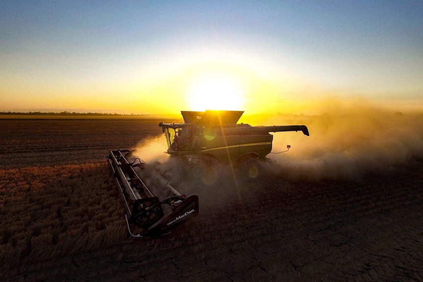 A harvester is silhouetted against the setting sun.