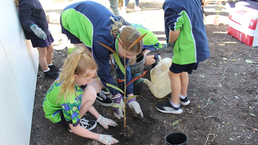 school students plant a tree.