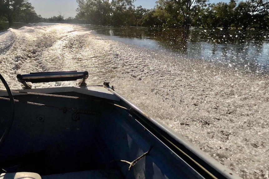 A speed boat moves through floodwaters 