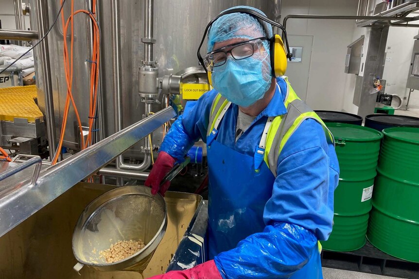 A factory worker in uniform and protective gear holding up some product in a sieve.