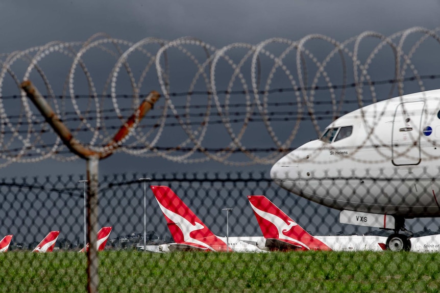 Qantas planes can be seen through a fence sitting parked at an airport.