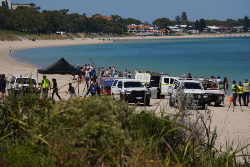 A crowd of people and cars on a beach. 