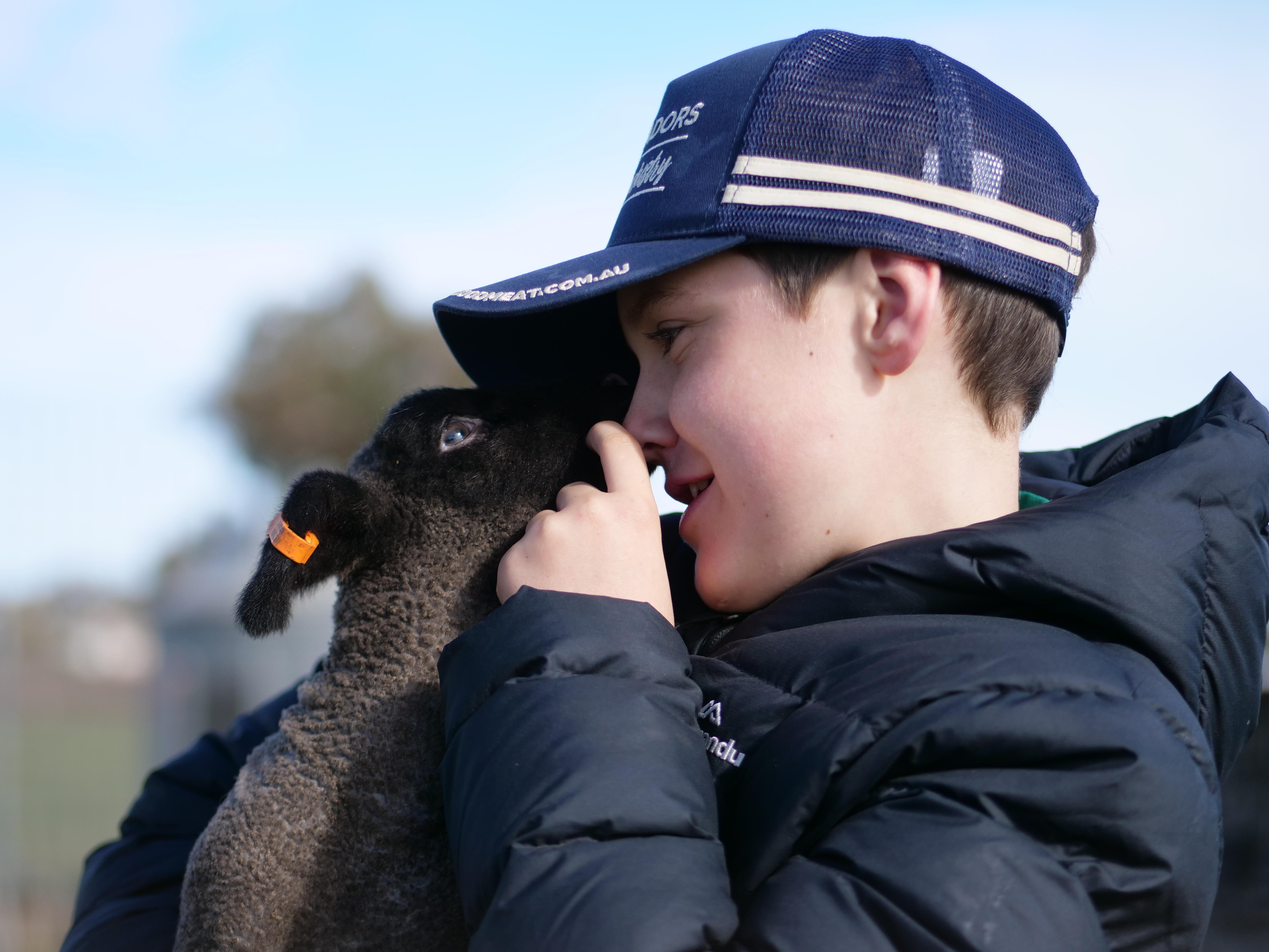 Boy with 'photographic memory' helping to maintain heritage sheep breed