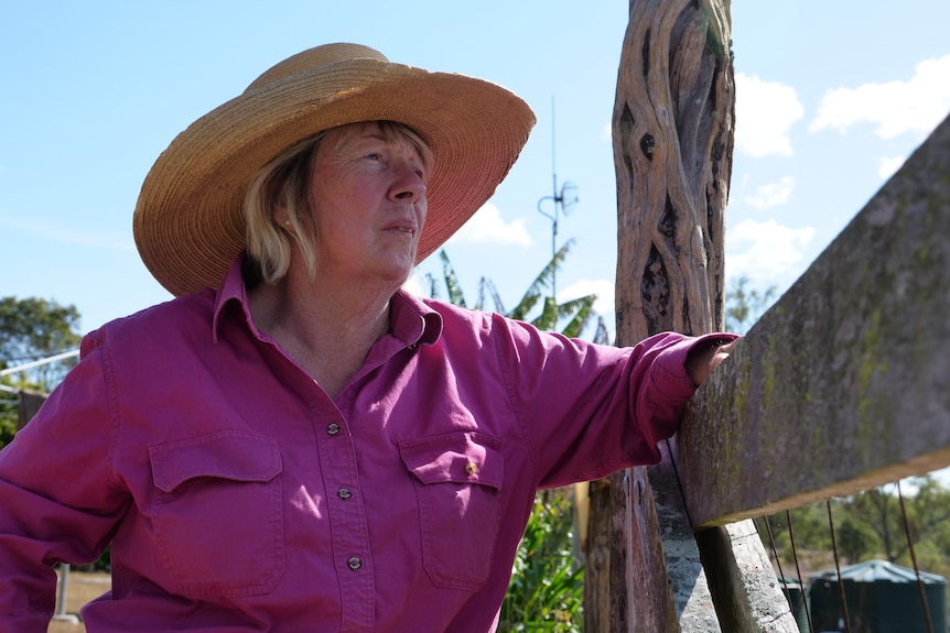 A woman wearing a wide brimmed hat and a pink shirt looks out into the distance while leaning on a wooden gate.
