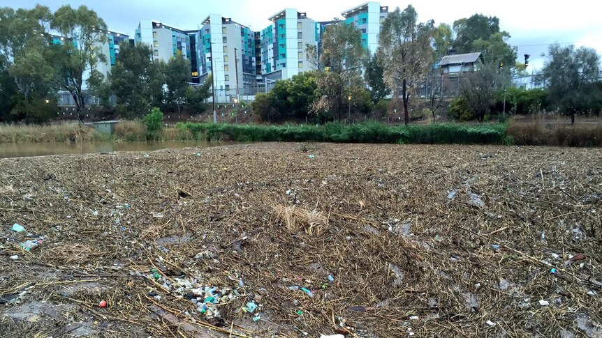 River Torrens mess