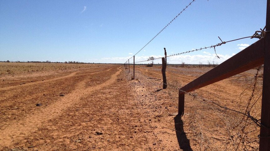 Drought-ravaged paddock near Stonehenge, south-west of Longreach in outback southern Queensland