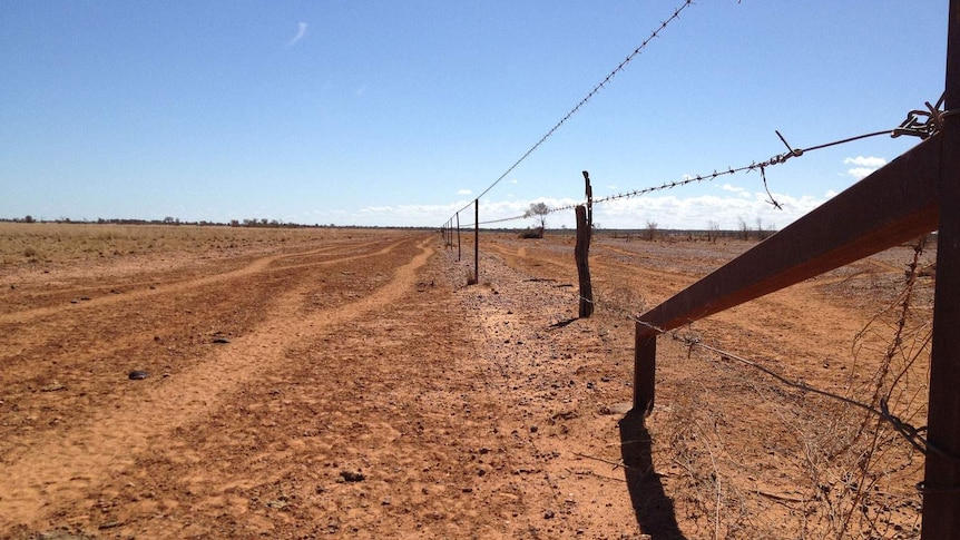 Drought-ravaged paddock near Longreach in outback Queensland
