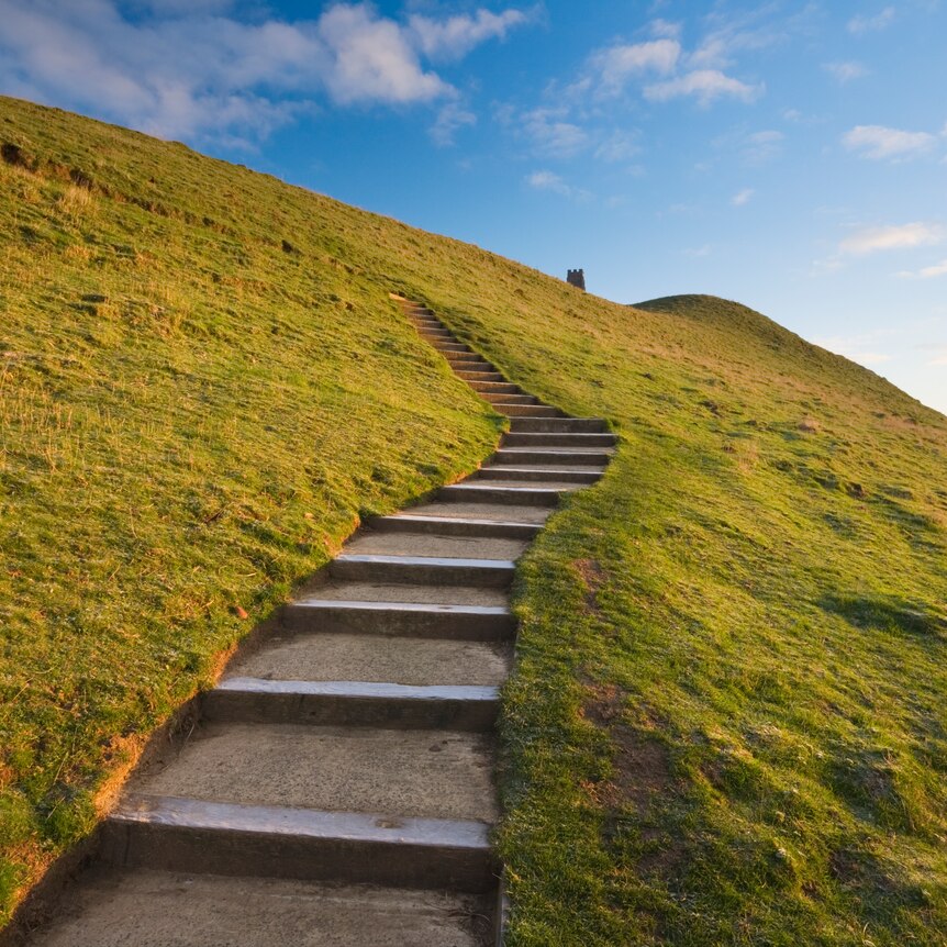 Steps leading up a grassy hill