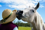 A lady wears a straw hat and appears to receive a kiss on the cheek from a smiling white horse set against a blue sky