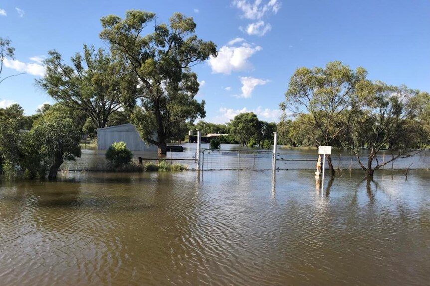 Brown water seeping into a property as the fence posts stick out above the water 