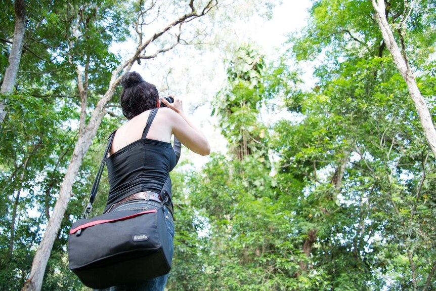 Simone Vinton points her camera towards the canopy of a rainforest area near Cairns.