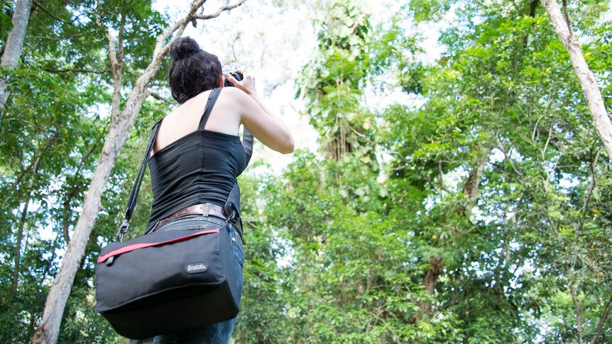 Simone Vinton points her camera towards the canopy of a rainforest area near Cairns.