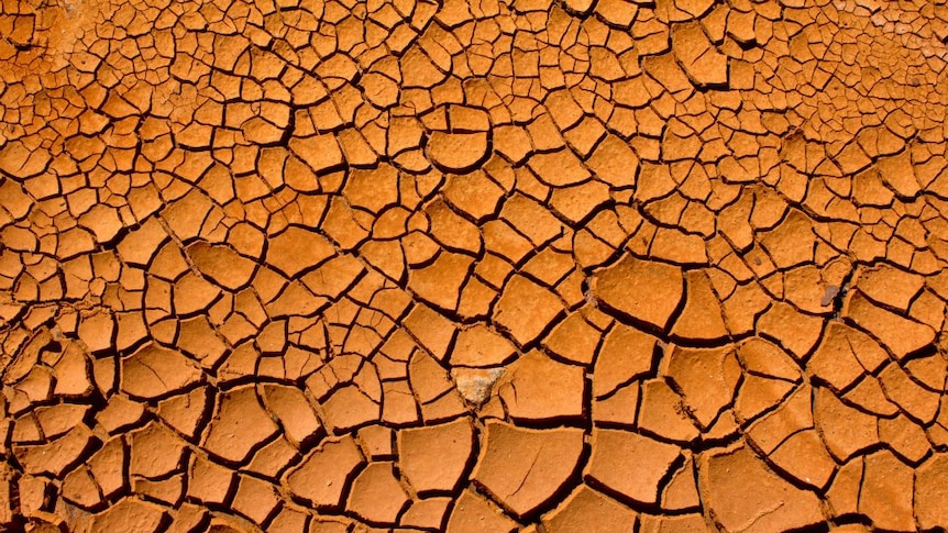 Cracked mud in a dry outback creek bed.