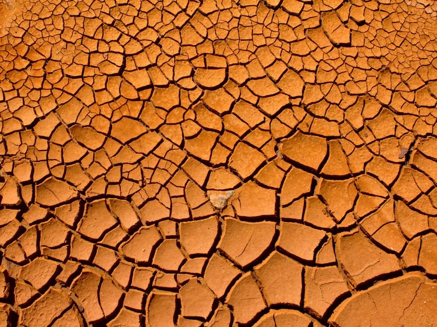 Cracked mud in a creek bed