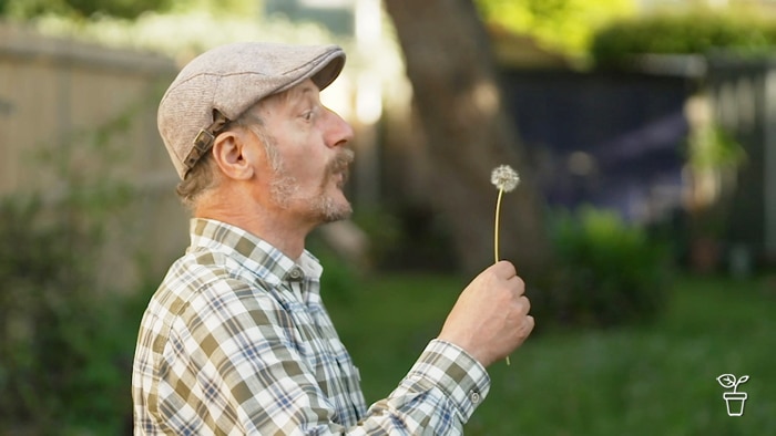 Man in a hat holding a dandelion seed head and about to blow on it.