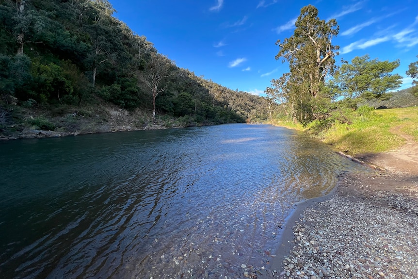 The wide Macalister River flows between a rocky hill and green campsite.
