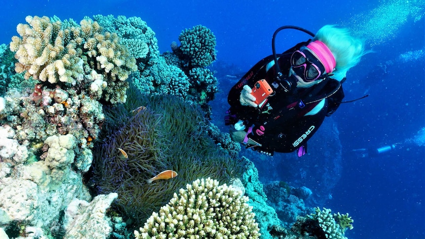A scuba diver taking a photo of coral.